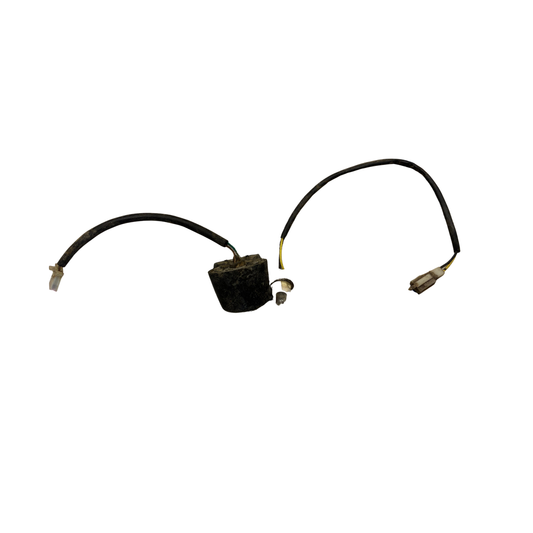 Lampa iluminare placuta inmatriculare Honda FES Pantheon 4T