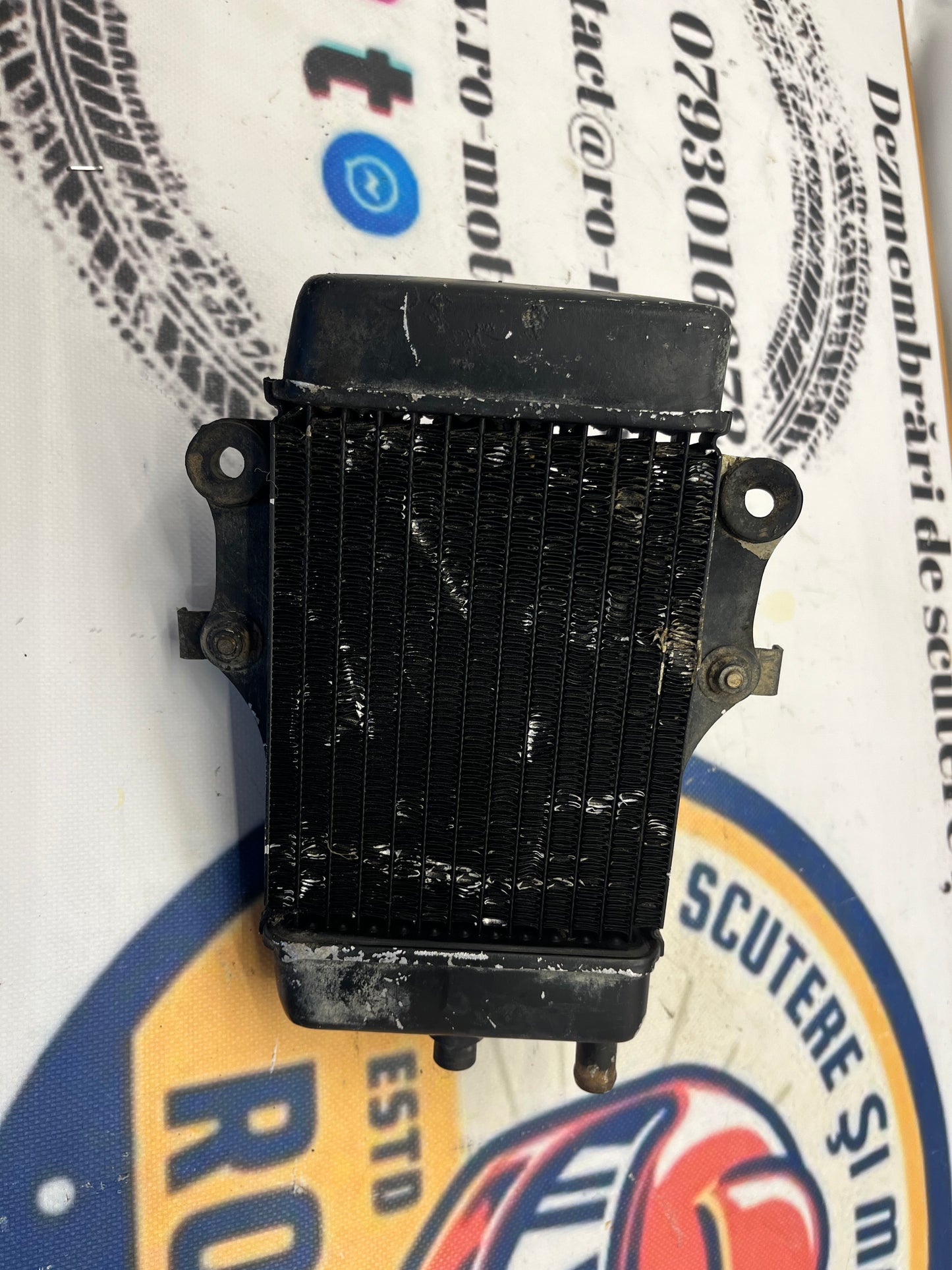 Radiator Electroventilator Honda NES SES Dylan Chiocciola @