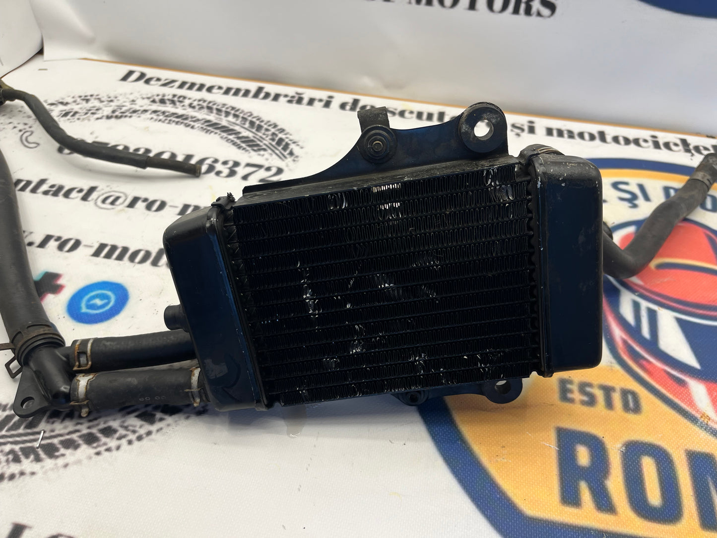 Radiator Electroventilator Honda NES SES Dylan Chiocciola @